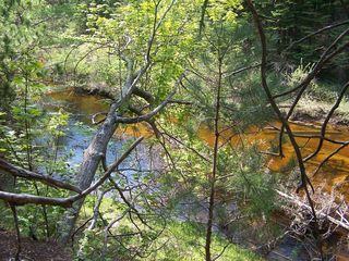N  River Ln, Millersburg, MI 49759
