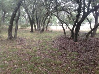 8 Winding Oak Dr, Johnson City, TX 78636
