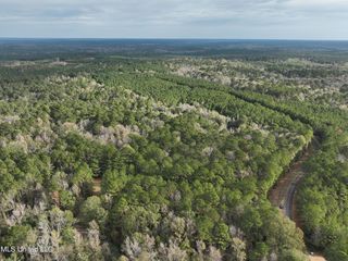 Coons Mill Rd, Centreville, MS 39631