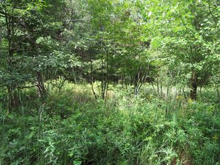 Duby Rd #C-2, Tawas City, MI 48763