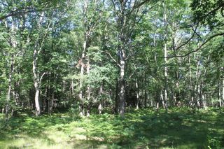 Seaman Rd, Wellston, MI 49689