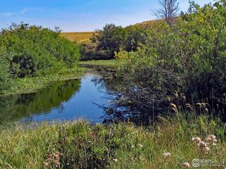 Sand Creek Park, Livermore, CO 80536