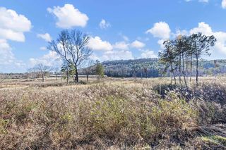 3 Booger Hollow Rd, Dover, AR 72837