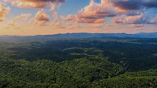 Lot 880 Matrix Ln, Ellijay, GA 30540