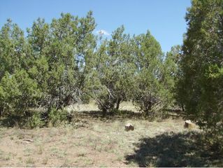 4115 N  Lore Way, Ash Fork, AZ 86320