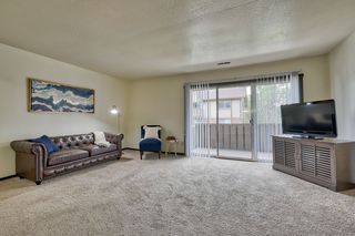 1 Bedroom Apartments For Rent In Kalamazoo Mi 15 Rentals Trulia