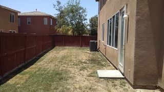 Rear Yard Pt 2