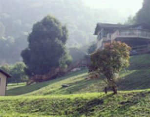 1253 Bear Creek Rd, Orinda, CA 94563