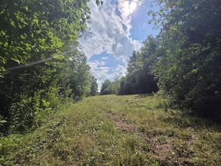 Bunnell Rd #WP001, Waverly, NY 14892