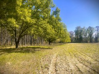 00 Lowcountry Highway, Ruffin, SC 29475