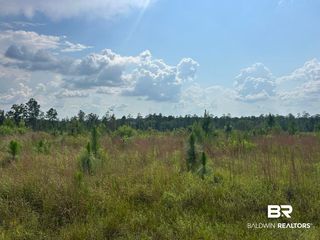 Bradley Rd, Brewton, AL 36426