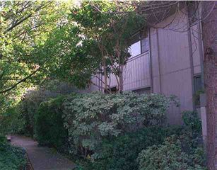344 Alamo Sq, Alamo, CA 94507