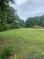 FM 450, Harleton, TX 75651