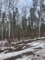 106 Wabeek Ct, Alpena, MI 49707