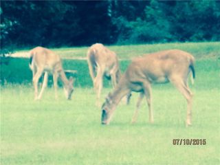 Mariano Rd, Bentonville, AR 72712