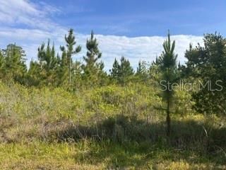 118 Tropicana Dr #9, Indian Lake Estates, FL 33855