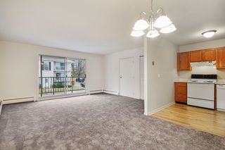 257 N  State Hwy #25D, Springfield, PA 19064