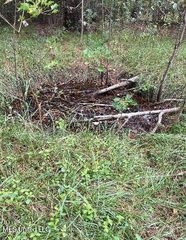 McDowell Rd #40, Saucier, MS 39574