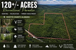 Highway 102, Carbon Hill, AL 35549