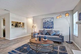 4035 Towne Crossing Blvd #2206, Mesquite, TX 75150