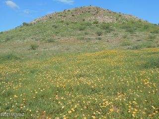 Grassy Valley Rd, Elfrida, AZ 85610