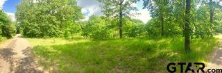 County Road 1670, Alba, TX 75410