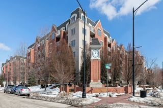 4811 N Olcott Ave #201, Harwood Heights, IL 60706