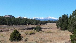 Tbd Cr 1, Cotopaxi, CO 81223