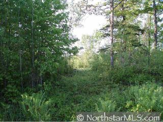 XXXX County Road 11, Moose Lake, MN 55767