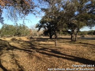 22733 Morin Rd LOT 41, Von Ormy, TX 78073