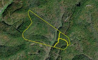 Buck Run Rd, Camden, WV 26338