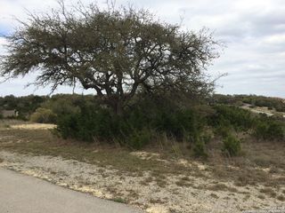 178 Champion Way LOT 80, Spring Branch, TX 78070
