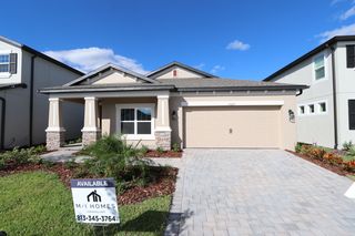 33227 Amling Pecan Br, Wesley Chapel, FL 33545