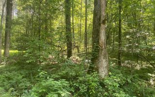 Murphy Hwy, Mineral Bluff, GA 30559
