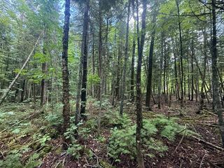 198 Green Ridge Road, Caribou, ME 04736