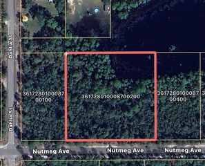 Nutmeg Avenue Lot #2, Eustis, FL 32736