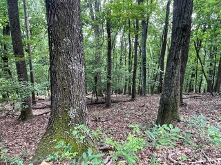 311 Willowridge Dr #47, Thaxton, VA 24174
