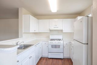 Apartments For Rent In Ashton Glen Manassas Va 1 Rentals Trulia