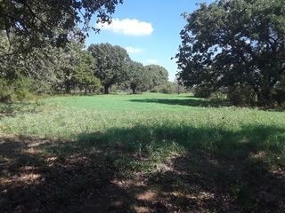 Private Road 114 #114, Covington, TX 76636