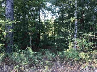 County Road 462, Henderson, TX 75654