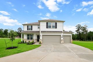 18303 Alana Nell Ct, Willis, TX 77378