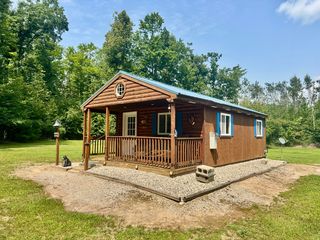 1304 Tabitha Trl, Mio, MI 48647