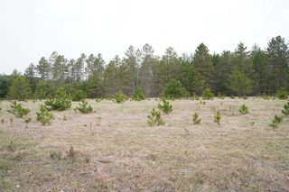 County Road D, Webster, WI 54893
