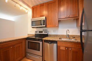 450 W  Briar Pl #12J, Chicago, IL 60657