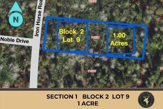 242 Iron Horse Rd #9, New Waverly, TX 77358