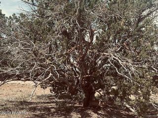 Lot-43N W  Tides Trl, Ash Fork, AZ 86320