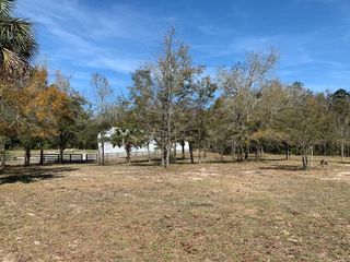  NE Sweet Gum Ln, Steinhatchee, FL 32359