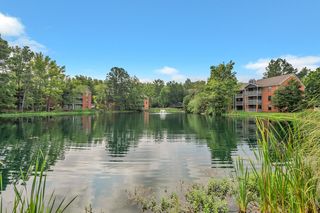 1 Turtle Lake Dr #101, Birmingham, AL 35242