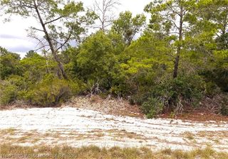 209 Coolidge Ave NE, Lake Placid, FL 33852