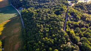 Braysville Rd, Spencer, IN 47460